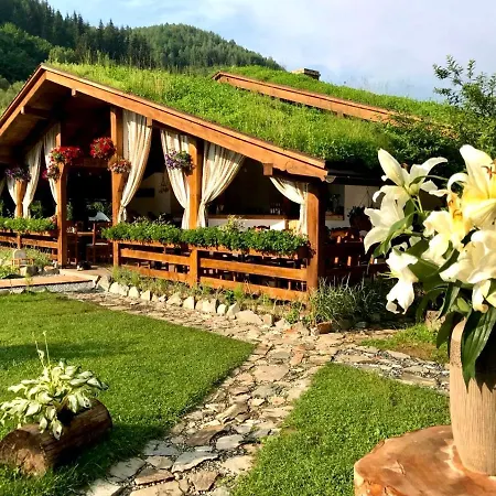 Pensiunea Vidra De Sus Maison d'hôtes