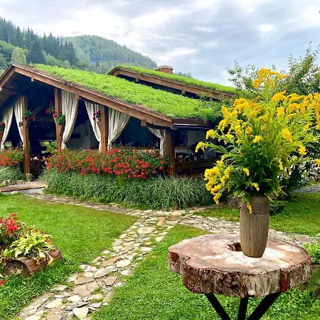 Pensiunea Vidra De Sus Casa de hóspedes Vidra (Alba)
