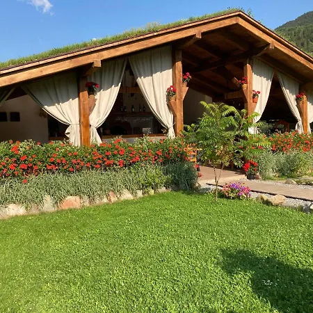Pensiunea Vidra De Sus 3* Vidra (Alba)
