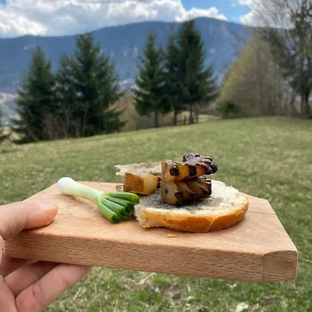 Pensiunea Vidra De Sus Vidra (Alba)