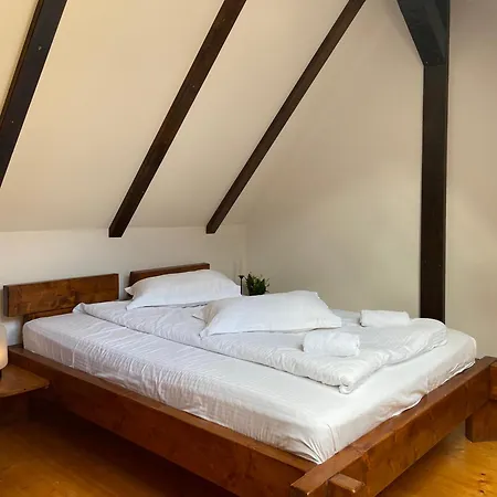 Pensiunea Vidra De Sus Maison d'hôtes Vidra (Alba)