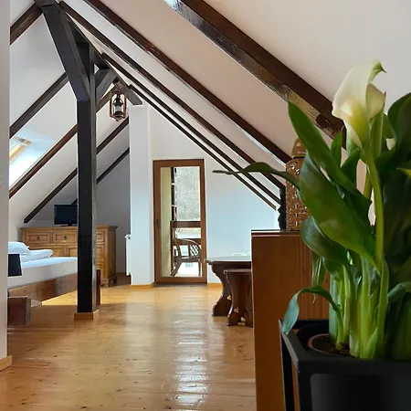 Maison d'hôtes Pensiunea Vidra De Sus Vidra (Alba)
